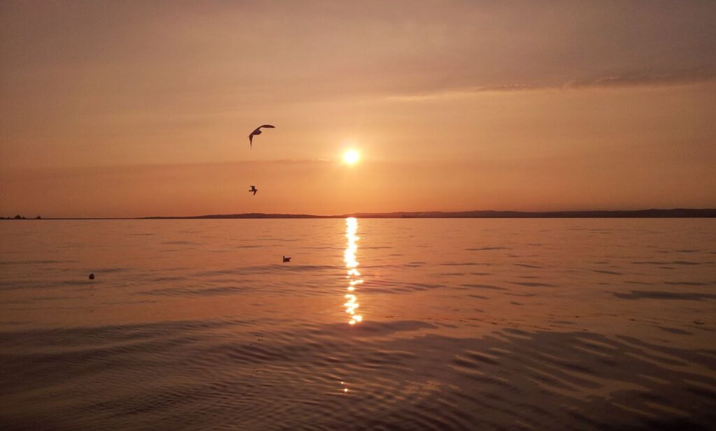 amarisa sunset